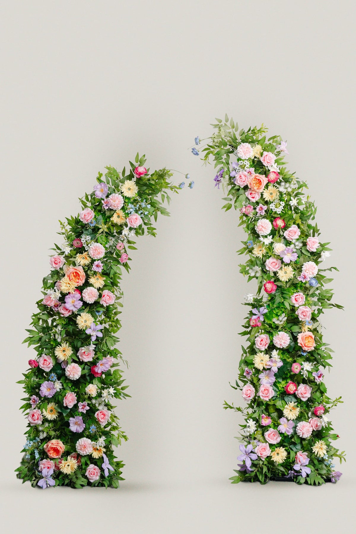 Wild Love - Arch
